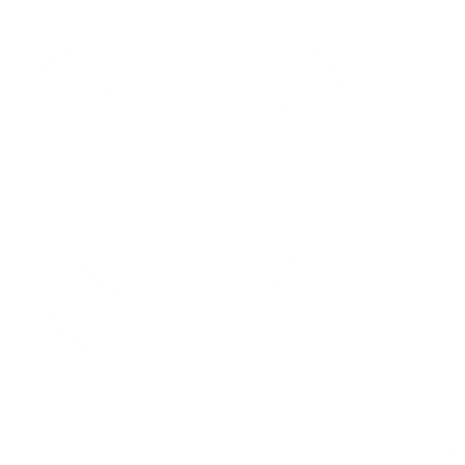 Search Icon